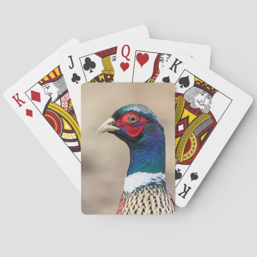 Portret van een fazant pokerkaarten (Achterkant)