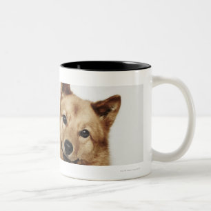 Portret van een Finse Spitz-hond die glimlacht Tweekleurige Koffiemok
