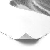 Portret van een Gaffelbok Woestijn Dier Poster (Hoek)