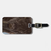 Portret van een gifstier in de regen bagagelabel (Voorkant horizontaal)