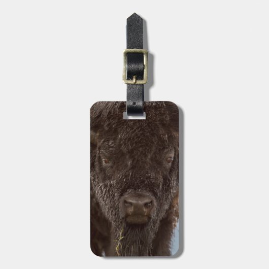 Portret van een gifstier in de regen bagagelabel (Voorkant verticaal)