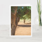 Portret van een groene olijfboom kaart (Voorkant)