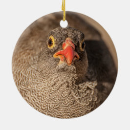 Portret van een Grouse Keramisch Ornament