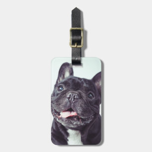 Portret van een Happy French Bulldog Bagagelabel