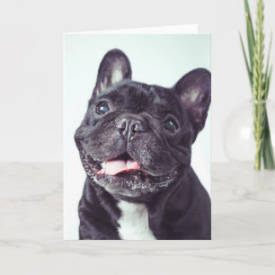 Portret van een Happy French Bulldog Kaart