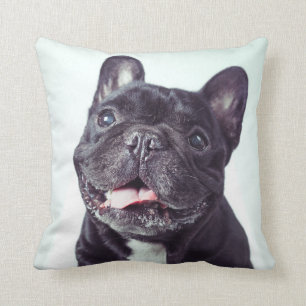 Portret van een Happy French Bulldog Kussen