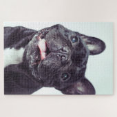 Portret van een Happy French Bulldog Legpuzzel (Horizontaal)