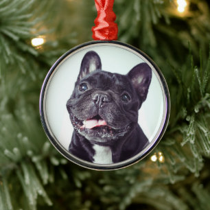 Portret van een Happy French Bulldog Metalen Ornament