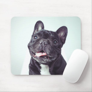 Portret van een Happy French Bulldog Muismat