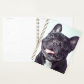 Portret van een Happy French Bulldog Planner (Display)