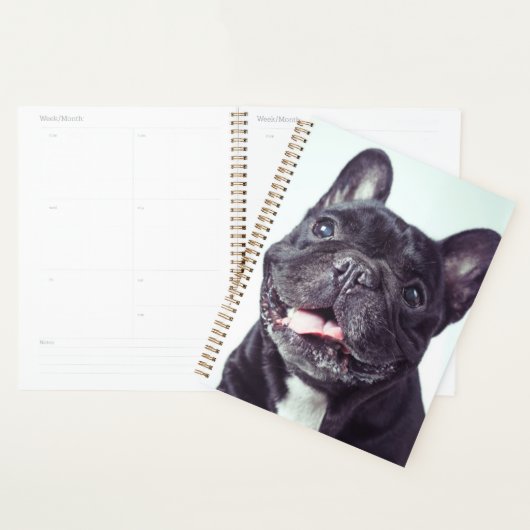 Portret van een Happy French Bulldog Planner (Display)