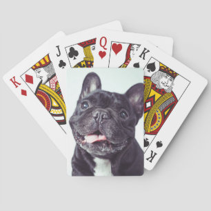 Portret van een Happy French Bulldog Pokerkaarten