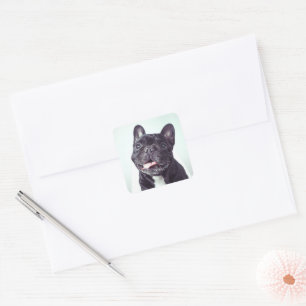 Portret van een Happy French Bulldog Vierkante Sticker