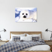Portret van een Harp Seal Pup Canvas Afdruk (Insitu (Slaapkamer))