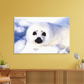 Portret van een Harp Seal Pup Canvas Afdruk (Insitu (Woonkamer))