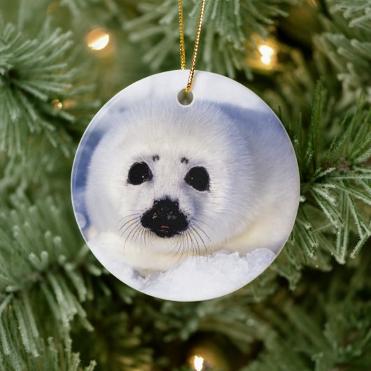 Portret van een Harp Seal Pup Keramisch Ornament (Boom)