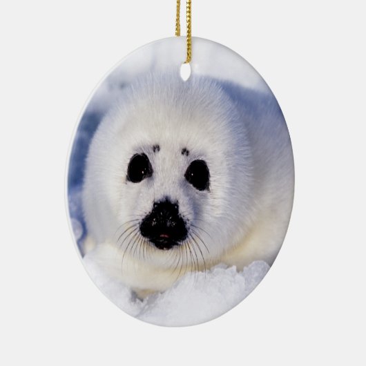 Portret van een Harp Seal Pup Keramisch Ornament (Rechts)