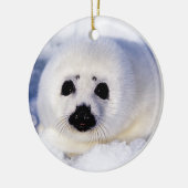 Portret van een Harp Seal Pup Keramisch Ornament (Links)