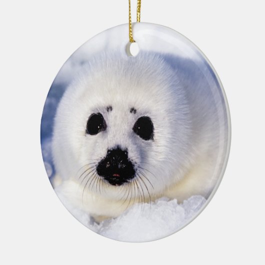 Portret van een Harp Seal Pup Keramisch Ornament (Links)