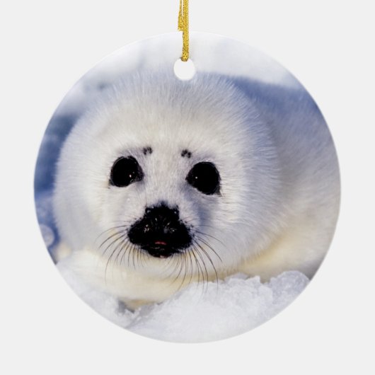 Portret van een Harp Seal Pup Keramisch Ornament (Achterkant)