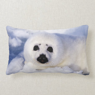 Portret van een Harp Seal Pup Kussen