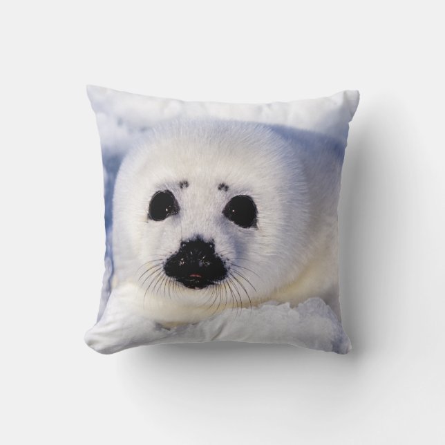 Portret van een Harp Seal Pup Kussen (Voorkant)
