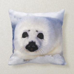 Portret van een Harp Seal Pup Kussen