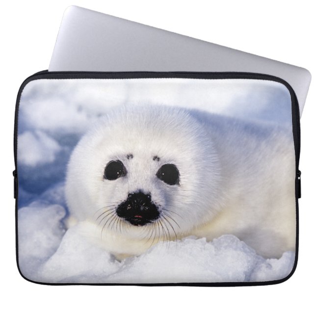 Portret van een Harp Seal Pup Laptop Sleeve (Voorkant)