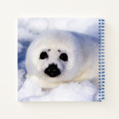 Portret van een Harp Seal Pup Notitieboek (Achterkant)