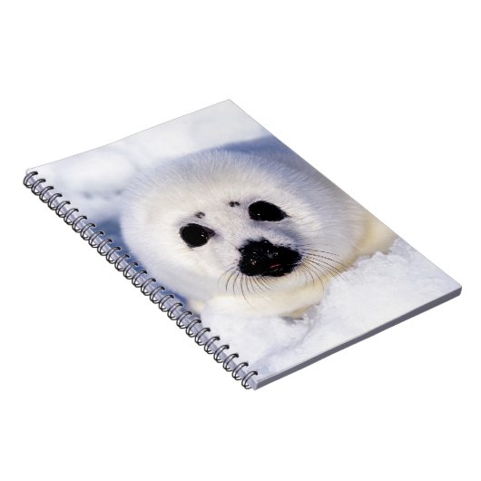 Portret van een Harp Seal Pup Notitieboek (Rechterzijde)