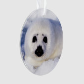 Portret van een Harp Seal Pup Ornament (voorkant)