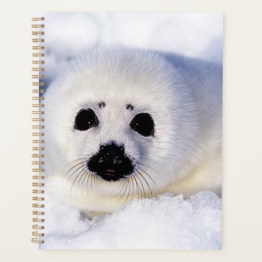 Portret van een Harp Seal Pup Planner (Voorkant)