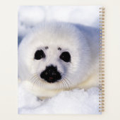 Portret van een Harp Seal Pup Planner (Achterkant)