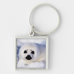 Portret van een Harp Seal Pup Sleutelhanger