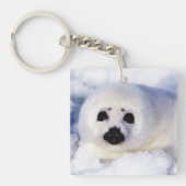 Portret van een Harp Seal Pup Sleutelhanger (Voorkant)