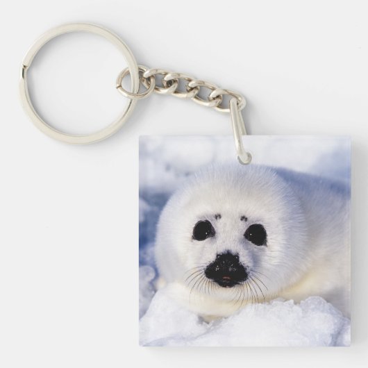 Portret van een Harp Seal Pup Sleutelhanger (Voorkant)