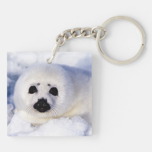 Portret van een Harp Seal Pup Sleutelhanger (Achterkant)