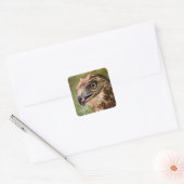 Portret van een Hawk Vierkante Sticker (Envelop)