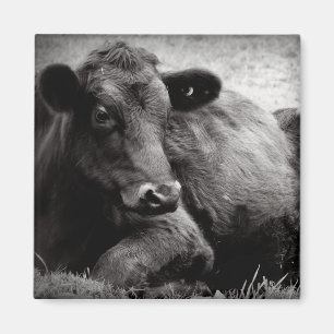 Portret van een Hoek Magneet