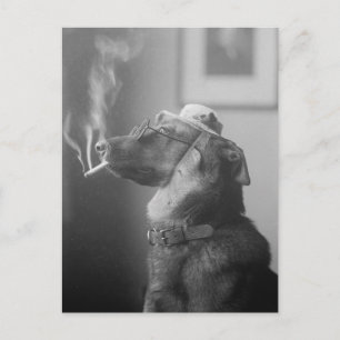 Portret van een hond, 1923 briefkaart