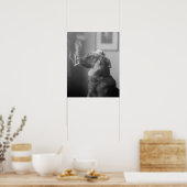 Portret van een hond, 1923.  foto poster (Keuken)