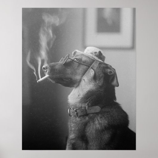 Portret van een hond, 1923.  foto poster (Voorkant)