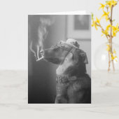 Portret van een Hond, 1923 Kaart (Gele Bloem)