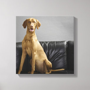 Portret van een hond canvas afdruk