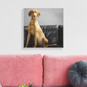 Portret van een hond canvas afdruk (Insitu (Woonkamer))