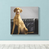 Portret van een hond canvas afdruk (Insitu (Houten vloer))