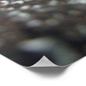 Portret van een honingbijen poster (Hoek)