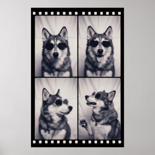 Portret van een husky poster (Voorkant)
