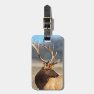 Portret van een indrukwekkende wapiti-stier bagagelabel