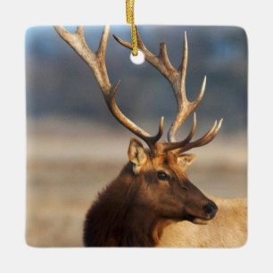 Portret van een indrukwekkende wapiti-stier keramisch ornament